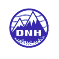 DNH GmbH